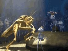 Grasshopper is an exercise you might be familiar with from the ladder barrel (high barrel) or grasshopper exercise. Grasshopper GIFs | Tenor