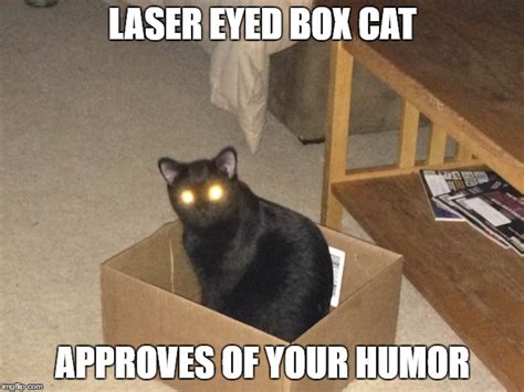 Laser Eyed Box Cat Imgflip