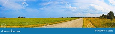 Panoramic Countryside Wide Road View With Trees Behind Rural Summer
