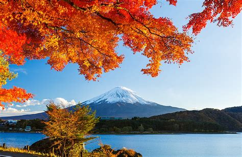 Hd Wallpaper Mt Fuji Japan Autumn Forest The Sky Leaves Snow