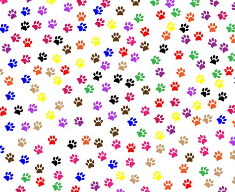 Paw Prints Background Free Stock Photo Public Domain Pictures