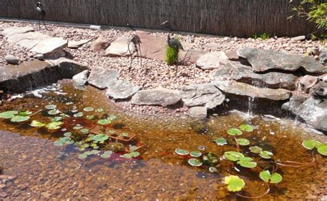 How To Build Concrete Garden Fish Ponds Outside Step By Step.