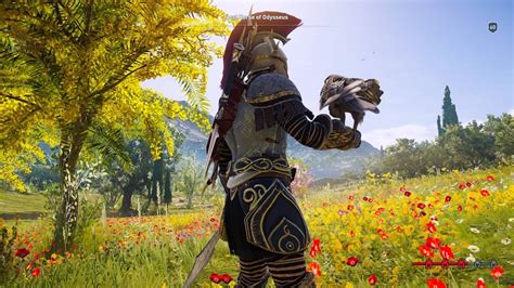 The stymphalos armored bird was a giant tree in the vague shape of a bird, which had been adorned with colossal pieces of armor and metal, located above the village of stymphalos within the golden fields of arkadia , greece. Assassin's Creed Odyssey - Arkadia - Open World Free Roam ...