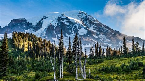 Nature Landscape Mount Rainier Washington State