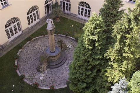 Fű fa virág a városban  családi séta a városi titkos 