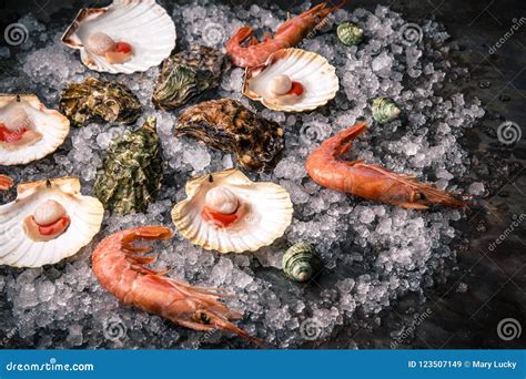 Raw Seafood Scallops Langoustines Shrimps And Oysters Stock Image