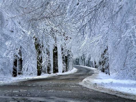Winter Road Landschap Fotos Foto