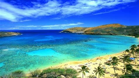 Steven john mcgarrett was born in hawaii on march 10, 1977 to john and doris mcgarrett. Honolulu Hawaii Beach Wallpaper : Wallpapers13.com
