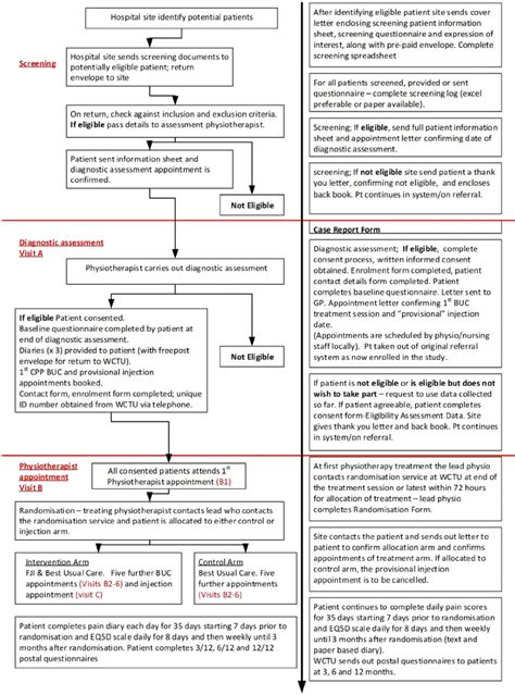 Patient Flow Chart And Associated Forms Download Scientific Diagram