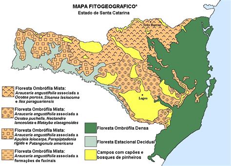 Mapa FitogeogrÁfico Do Estado De Santa Catarina Santa Catarina™ Geografia E História De