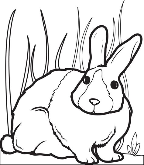 Free Printable Bunny Rabbit Coloring Page For Kids 2 Supplyme Real