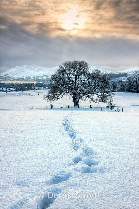 28 Irish Winter Ideas Winter Winter Scenes Ireland