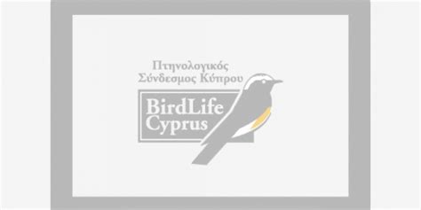 Changes To The Birdlife Cyprus Staff Management Birdlife Cyprus