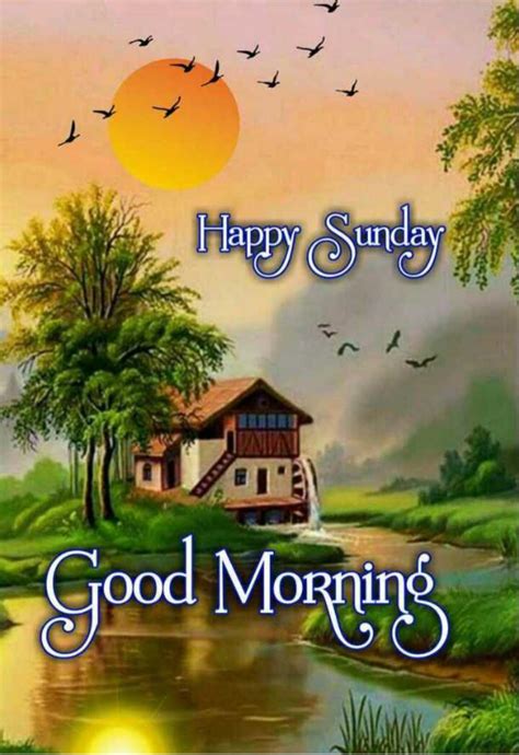 Pin By Aditi Kumari On Happy Sunday Good Morning Sunday