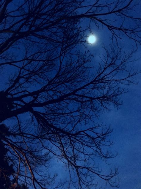 Moon Light At Autumn Night Night Landscape Blue Eyes Aesthetic Blue