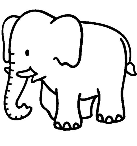 Download coloring pages jungle animals coloring pages jungle. cute jungle animal coloring pages | Elephant coloring page ...