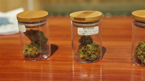 What is coin weight in grams? How much is an Eighth of Weed? Quarter for Scale ...