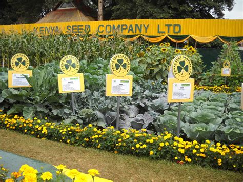 Ministry2kenya Loving My Neighbor Nairobi Agricultural Show