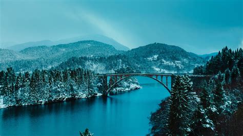 Beautiful Bridge Between Lake In Forest 4k Wallpaperhd Nature
