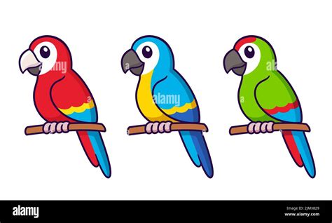 Cute Cartoon Macaw Parrots Drawing Red Blue And Green Tropical Birds