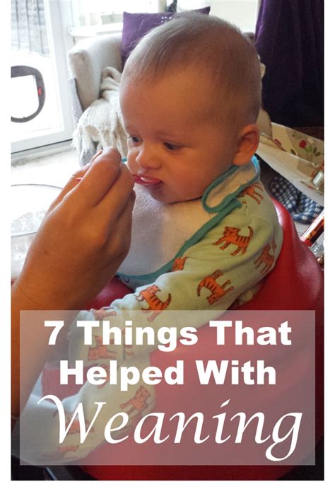 We did not find results for: 7 Things That Helped With Weaning! | Weaning, Baby food by ...