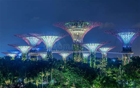 Illuminated Supertrees In Gardens By The Bay At Night Singapore Stock