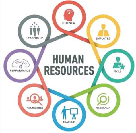The Role Of Human Resources Consulting Services In Driving