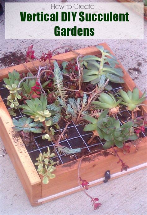 How to build succulent garden. How to Create a Vertical Hanging Succulent Garden