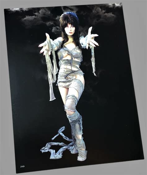 elvira mistress of the dark mummy poster collectable area51gallery