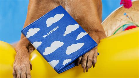 Paszport dla psa wszystkie niezbędne informacje WARSAW DOG