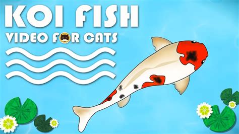 If you answered yes to zero or more of those questions, then you should try out this game! CAT GAMES FISH - Catching Koi Fish. Video for Cats to ...