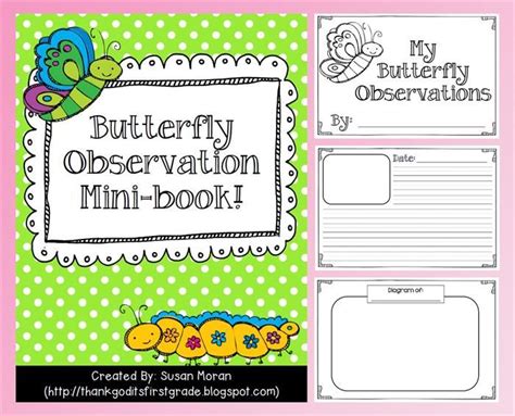 Butterfly Observation Booklet Freebie Butterfly Observation Booklet