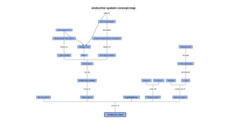 Endocrine System Concept Map Edrawmax Editable Template Cloud Hot Girl The Best Porn Website