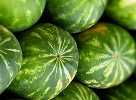 7 Manfaat Ajaib Buah Semangka untuk Kesehatan Anda ~ One web id