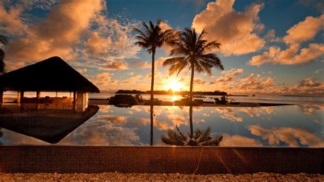 Sunset At Palm Beach Nature Beautiful Desktop