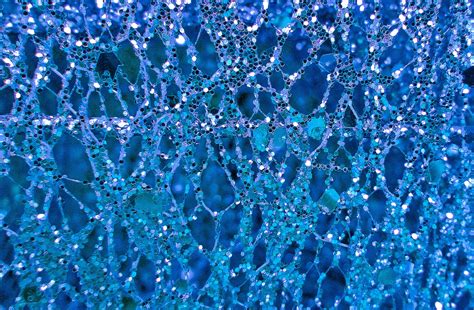 Blue Glass Background Free Stock Photo Public Domain Pictures