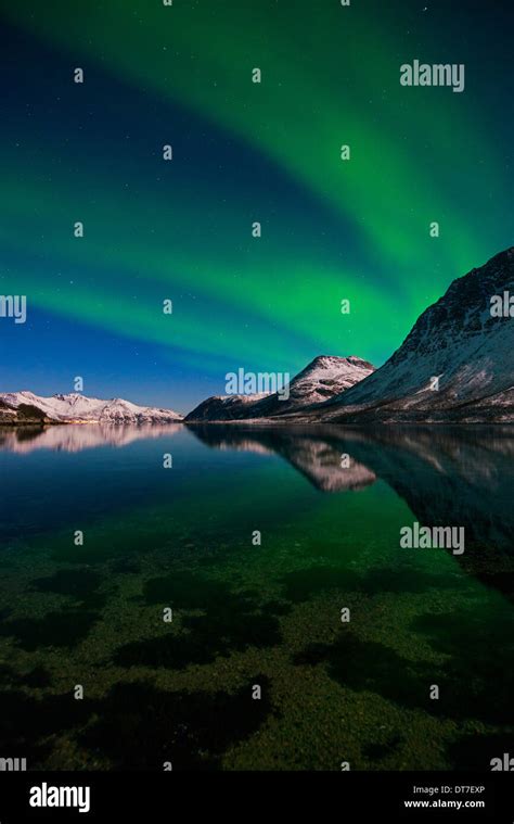 Aurora Borealis Reflecting On A Fjord In The Mountains Near Tromso In