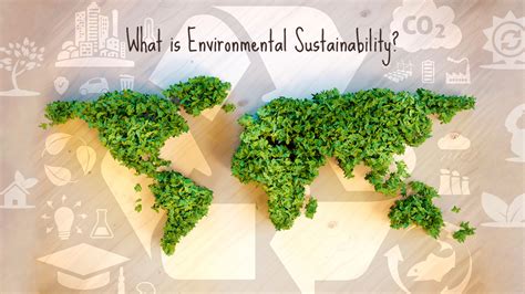 What Is Environmental Sustainability and Why Is It Important