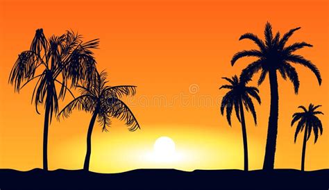 Hot Sunset Evening And Silhouettes Palm Trees Beach Tropical On