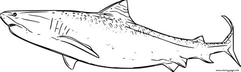 Big Tiger Shark Coloring Page Printable