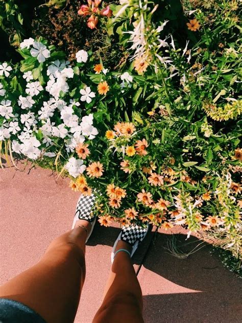 Pinterest Macywillcutt Plants Planting Flowers Pretty Plants