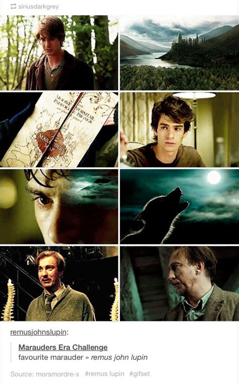Remus Lupin Harry Potter Love Harry Potter Obsession Wizarding World