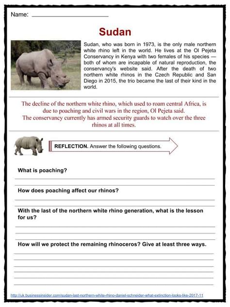 Rhinoceros Facts Worksheets Species Types And Habitat For Kids