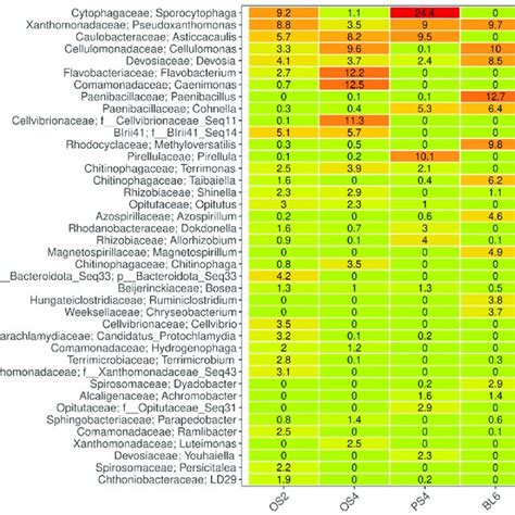 Heatmap Of The Most Abundant Bacterial Phylotypes On The Genus Level In Download Scientific