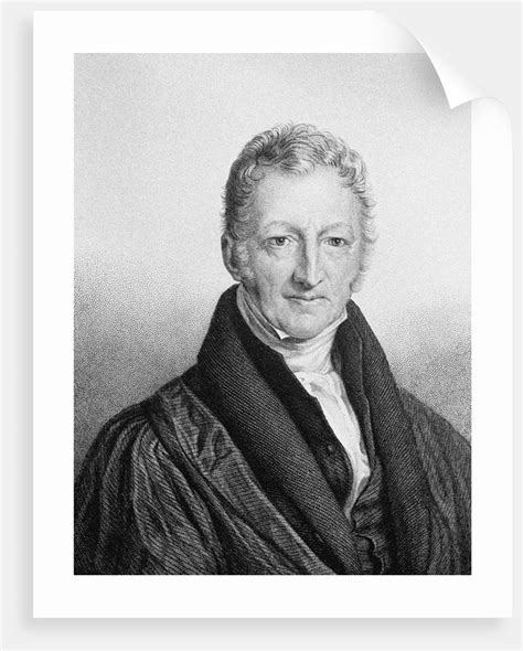 Portrait Of Thomas Robert Malthus Posters And Prints By John Linnell