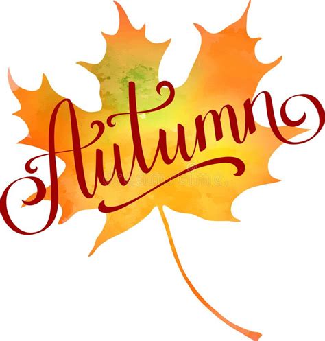 Autumn Hand Written Vector Lettering On Silhouette Of Watercolor Maple