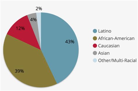 Us Race Pie Chart 2020 Best Picture Of Chart Anyimageorg