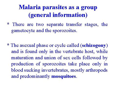 Malaria Parasite Plasmodium Vivax Plasmodium Falciparum Plasmodium Malariae