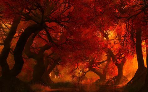 Forest Fire Wallpaper 54 Images