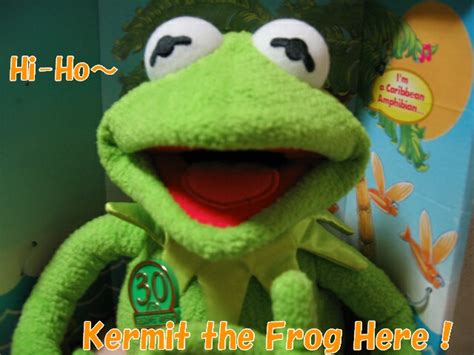 Kermit The Blog～カーミットの記録 Hi Ho Kermit The Frog Here！～パクパク・カーミット